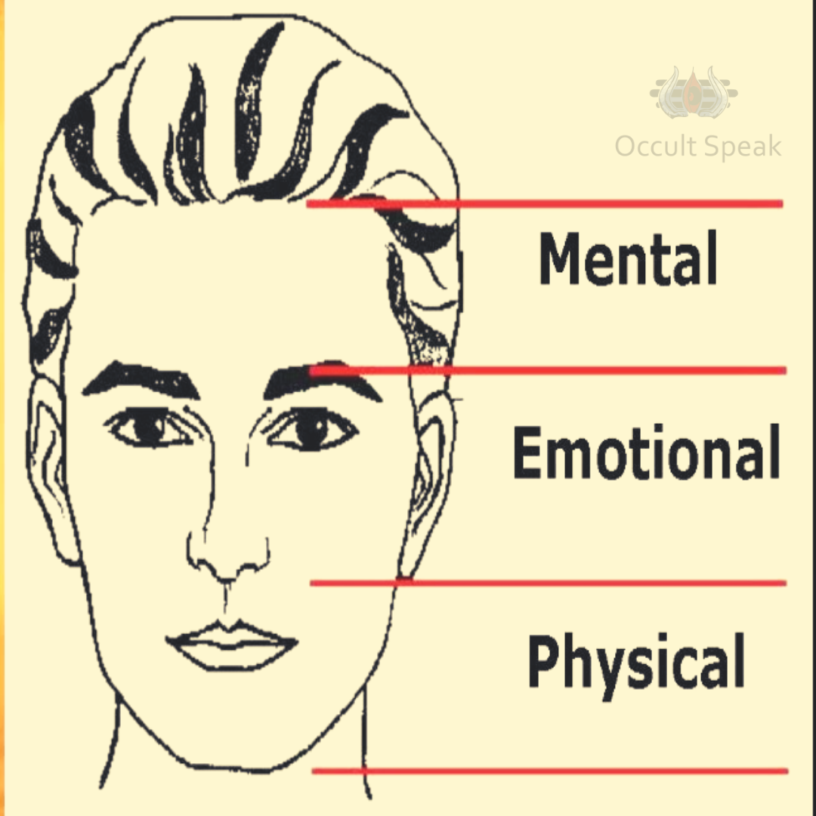 7 + Secretive Tips for Face Reading and How do you read a person's face?