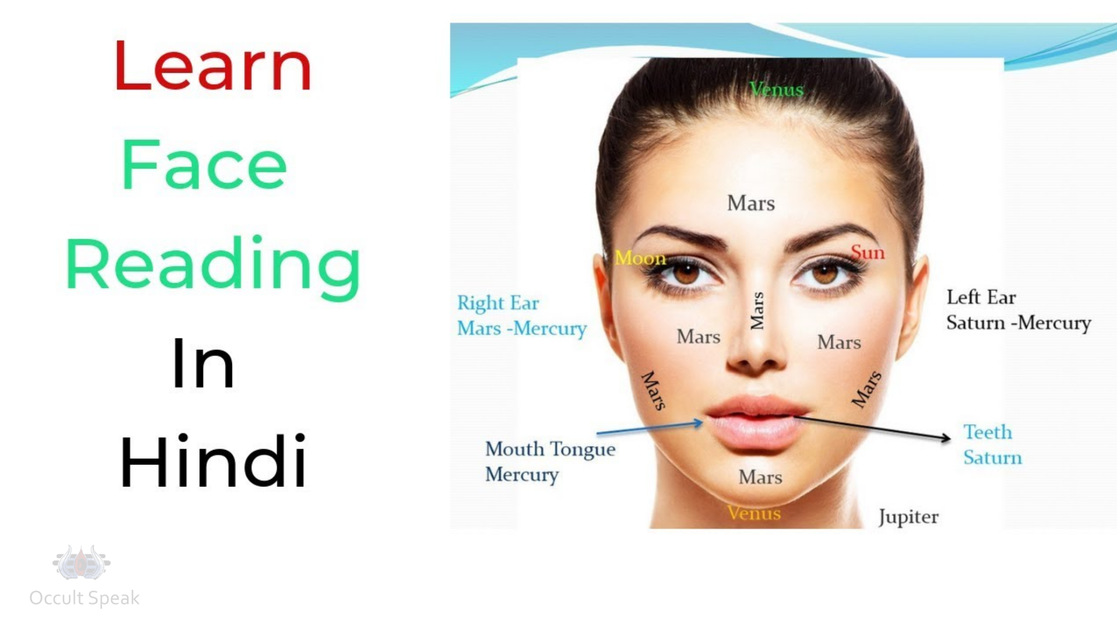 7 + Secretive Tips for Face Reading and How do you read a person's face?