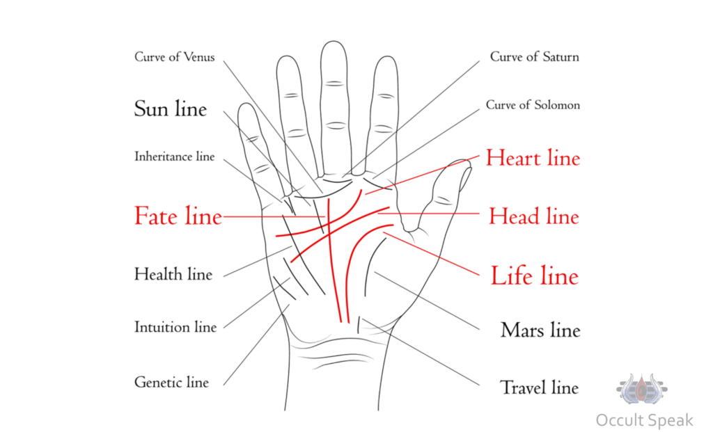 Can Palm Reading Predict Death ?