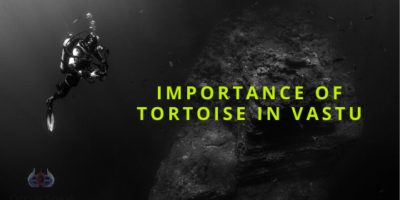 Importance of Tortoise and its placement as per Vastu