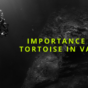 Importance of Tortoise and its placement as per Vastu