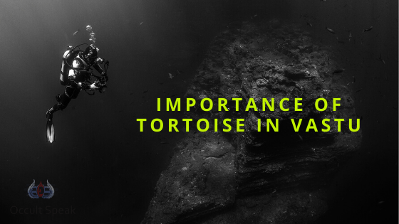 Importance of Tortoise and its placement as per Vastu