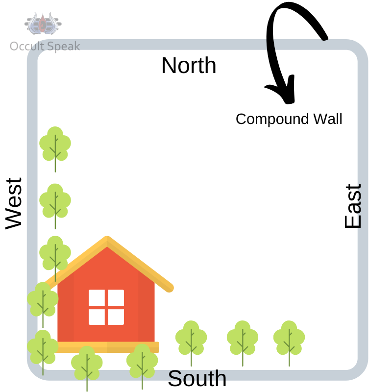 Vastu Shastra: 10 Tips for Planting Trees in Home