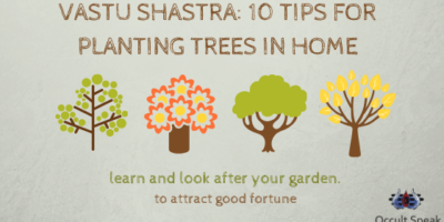 Vastu Shastra: 10 Tips for Planting Trees in Home