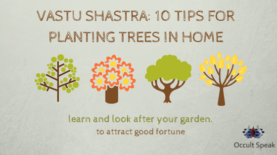 Vastu Shastra: 10 Tips for Planting Trees in Home