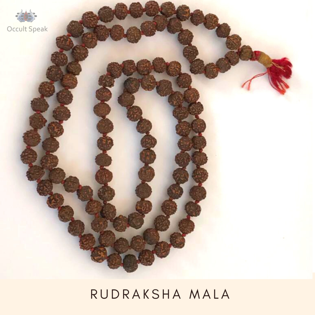 rudraksha