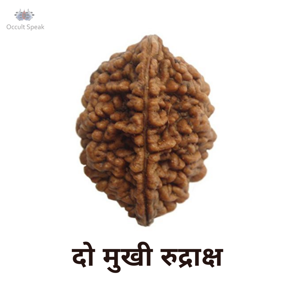 Do Mukhi Rudraksha