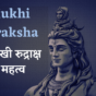 8 Mukhi Rudraksha