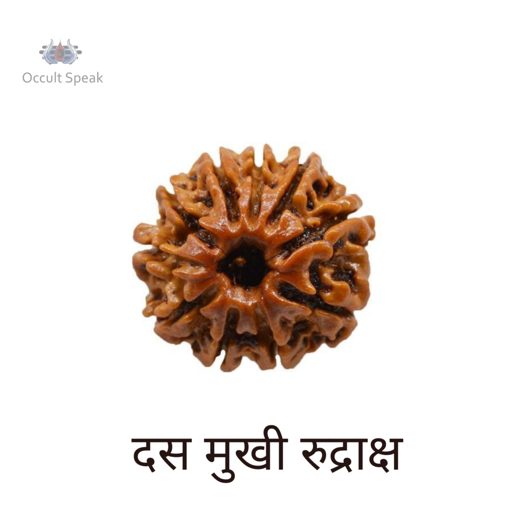 10 Mukhi Rudraksha