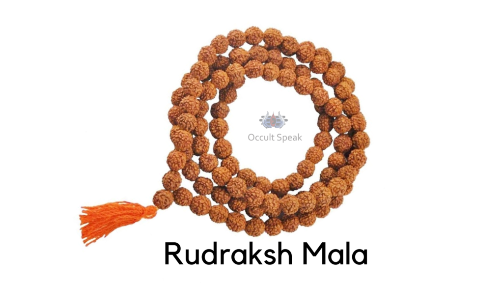 17 Mukhi Rudraksha Mala