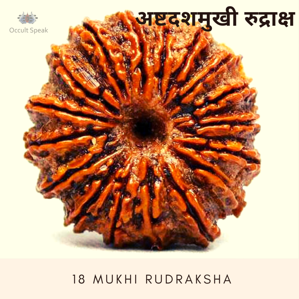 18 Mukhi Rudraksha