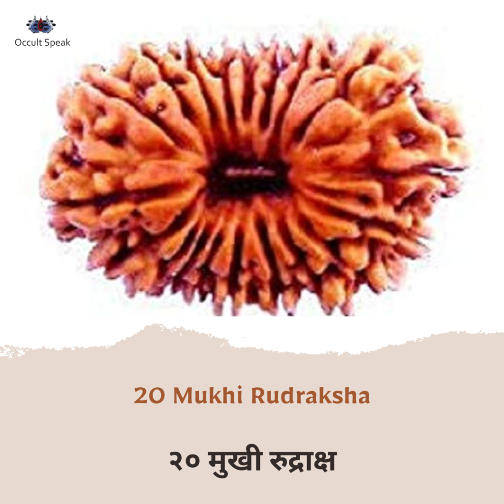 20 Mukhi Rudraksha
