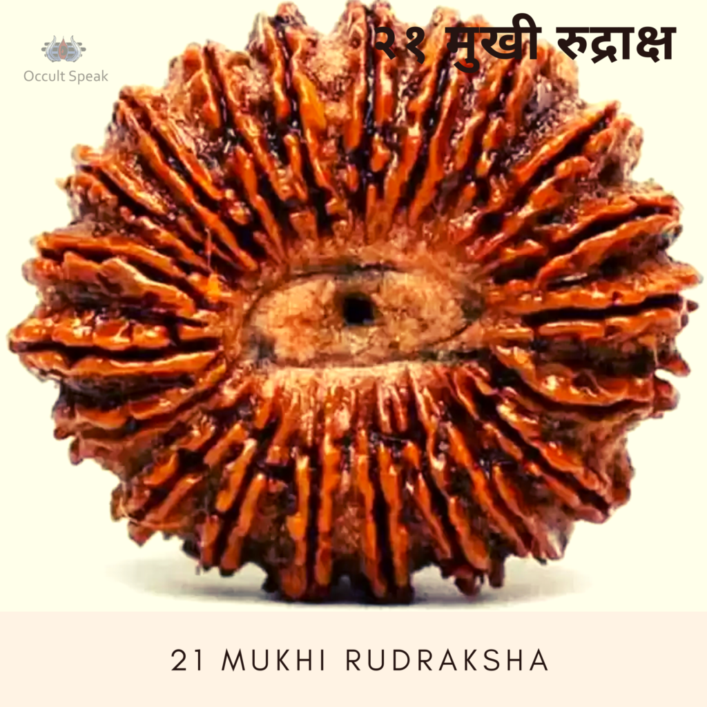 21 Mukhi Rudraksha