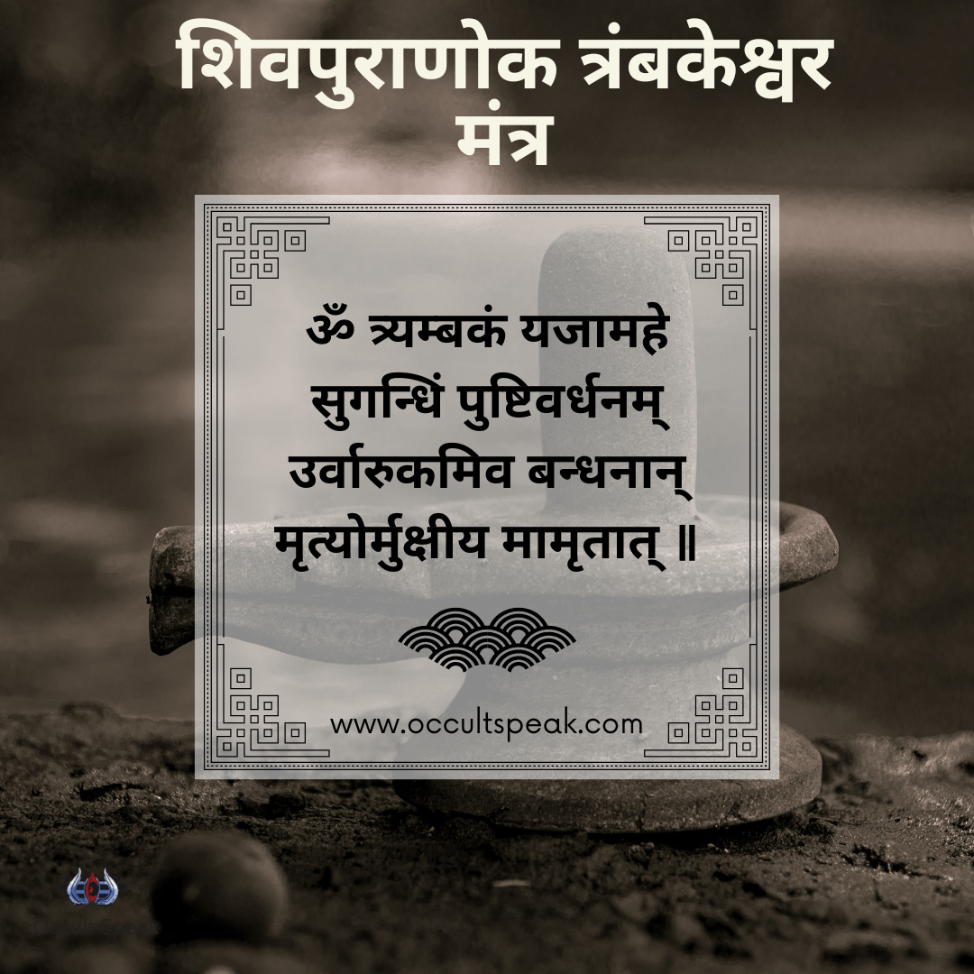 Mahashivratri 2024 and Mahamrityunjay Mantra Anusthan