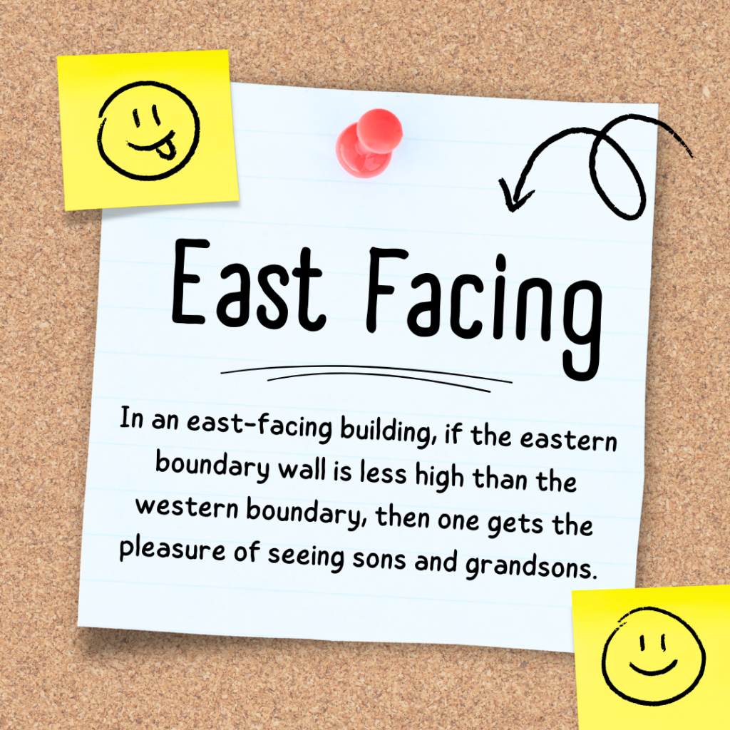 East Direction: How to Conceive a Baby Boy

