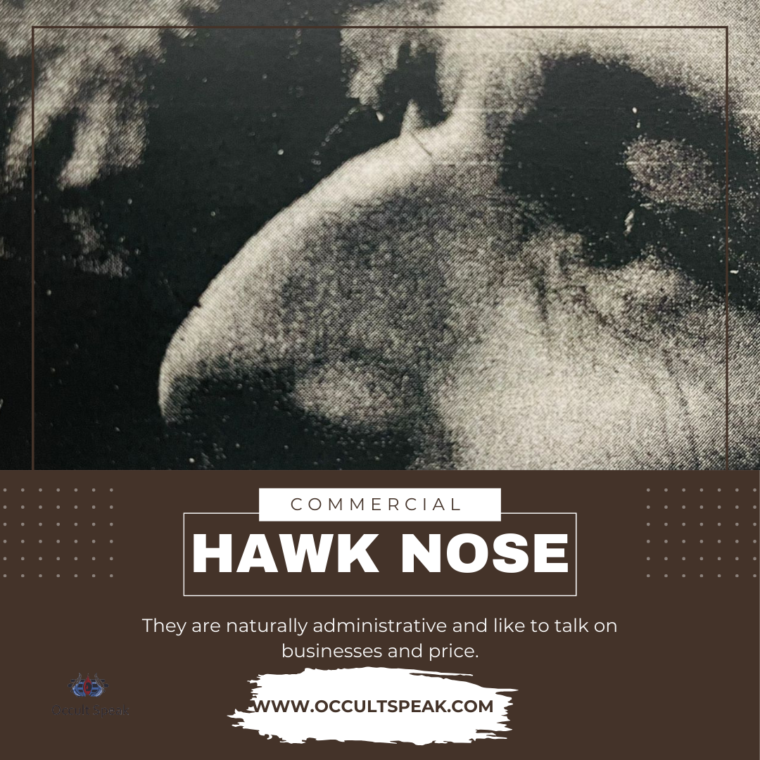 Beautiful Nose Shape
