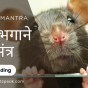 Chuha Bhagane Ka Mantra