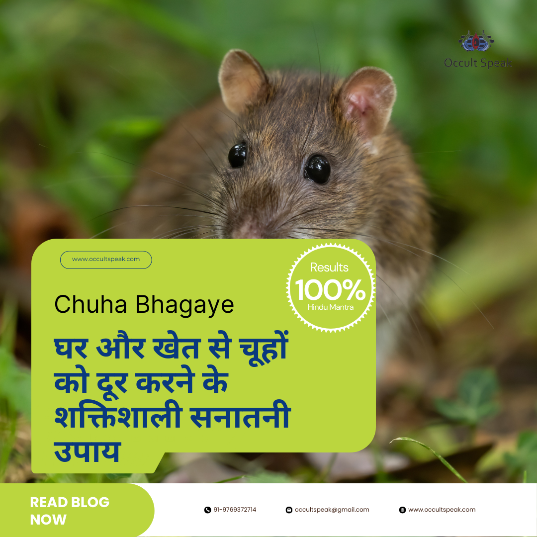 Chuha Bhagane Ka Upay Mantra