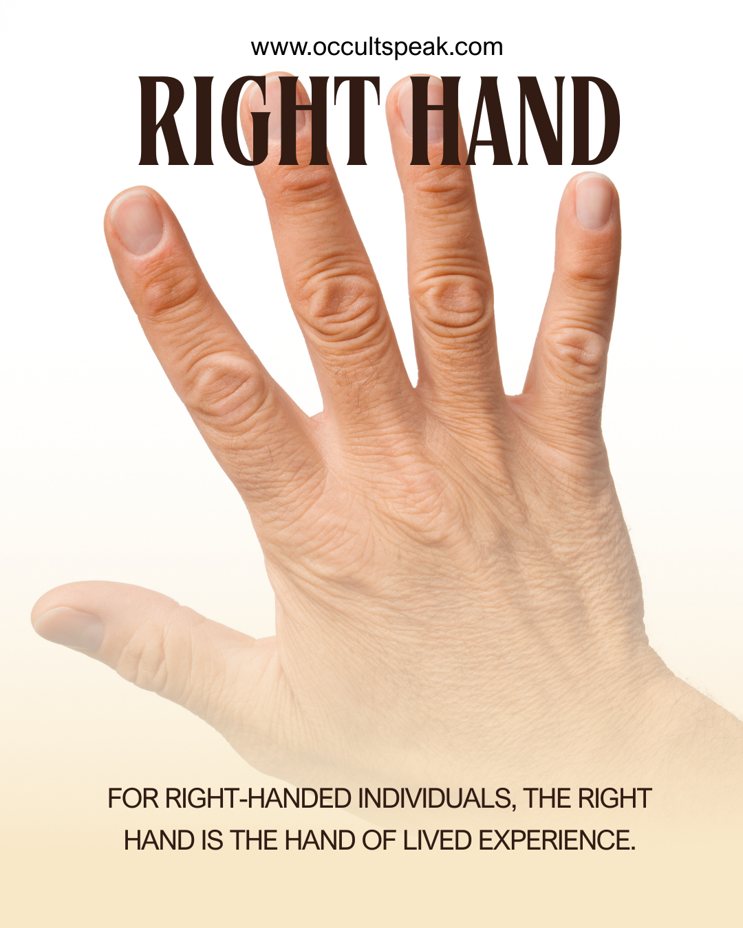 Left or Right Hand